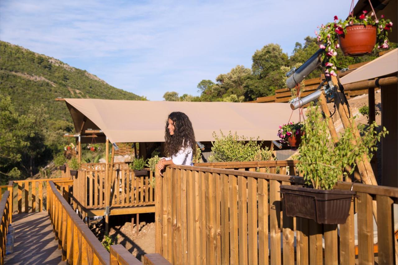 מלון קוטור Sea Glamping מראה חיצוני תמונה