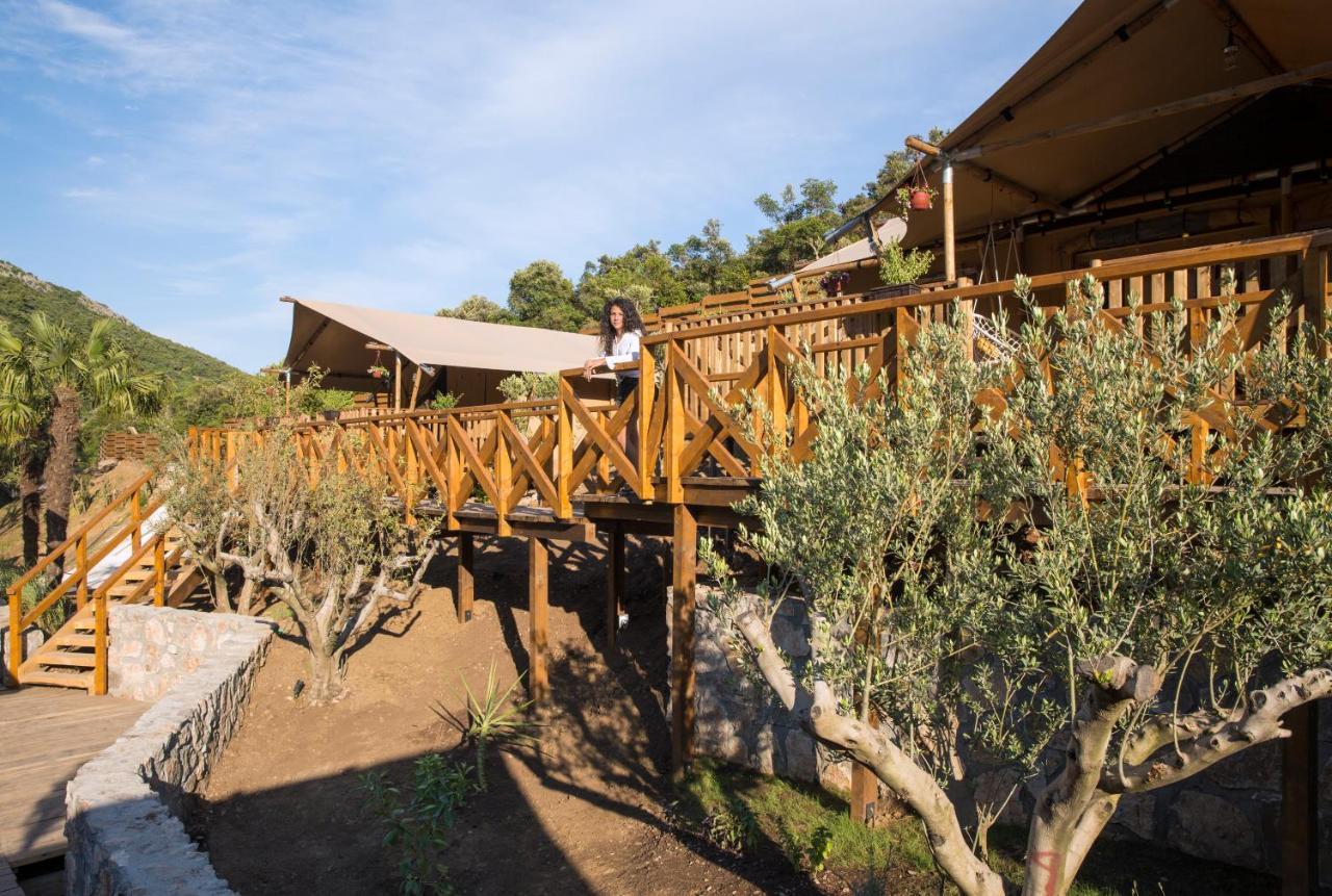 מלון קוטור Sea Glamping מראה חיצוני תמונה
